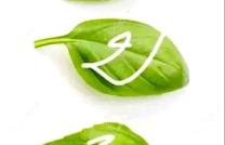 POUR AVOIR UNE LANGUE TRANCHANTE ET BIEN AIGUISÉE POUR ÊTRE ÉCOUTÉ ET ÊTRE CONSIDÉRÉ mediacongo